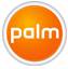 palm